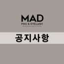 매드아이래쉬