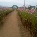 삼성석곡
