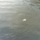 한터낚시터 이미지