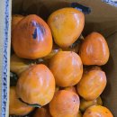 오늘싯가 대봉 4천원할인 판매 이미지