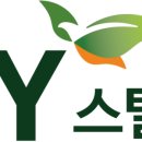 에스와이건설