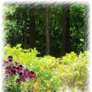 그림속풍경 이미지