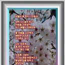 하늘향기 이미지