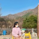 갤럭시하우스스파펜션&애견펜션