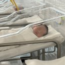 친절한오렌지약국 | [공지] 정산후조리원 후기 13박14일🤍