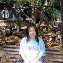 승아농장 이미지