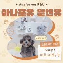 포유 | 강아지 피부영양제, 눈물까지 잡는 아나포유 알앤유 후기
