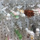 성군포차 | 5월은 우리의 날!👀🌱🩷