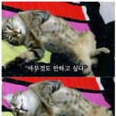 다자인(Dasein)