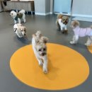 고잔유치원 이미지