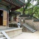 (경상북도 경주) 불국사 '나홀로 여행'