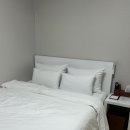 해남호텔 | 해남 숙소 추천 아르떼호텔 일반실 1인숙박후기