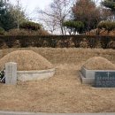 최용신 선생 묘 이미지