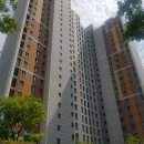 평택서재초등학교 이미지