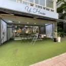 와이헤어샵 이미지