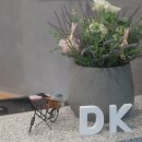 닥터김DK의원 이미지