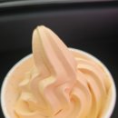 솔직한푸드 | 코스트코 솔티드 캐러멜 아이스크림 솔직한 후기 푸드코트