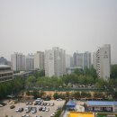 바른웅치과의원 | 강남구 대장아파트 미성2차 2025년 9월 실거래가 분석