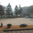 양양 서림사지 석조비로사나불 좌상 Daum카페