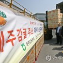 순이감귤