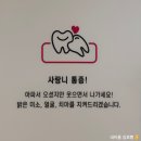 인치과의원 | 사랑니 발치 후 흰덩어리, 염증인 줄 알고 뺐다가 인천 부평 사랑니 전문치과 다녀온 후기 (또간집)