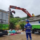 (주)동운