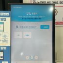 나무동물병원 - 여주시 청심로 17-7 | [엑슬루동물병원] 쑥이네,🐈고양이 몸에서 동그란 혹이 만져진다면❓대전 신탄진 엑슬루동물병원 방문 후기🐾
