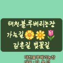 갈촌농장 이미지