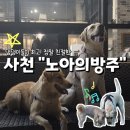 방주 | 경상남도 사천_ 노아의 방주 대형견 방문 내돈내산 후기