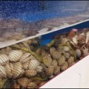 택이네조개전골 이미지