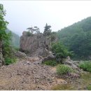 8월 정기산행 경북 문경 도장산 산행안내 및 예약 이미지