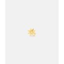 골드온블루 이미지