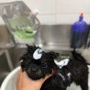 멍팰리스 이미지