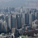 서울46 이미지