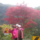 간문초등학교 이미지