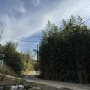 지리산 둥이네 이미지