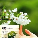 오늘은좋은날 티스토리
