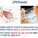 테라피 요가 이미지