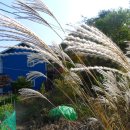 법수펜션 이미지