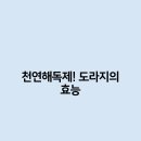 천연 이미지