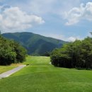 동강시스타 골프장 이미지