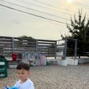 이마트24 월포해안로 | 포항 아이랑 바다 앞 오션뷰 보라보라 카라반 4번