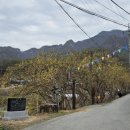 상천리 마을회관 이미지