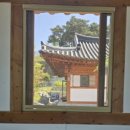(주) 성황 | 25.04 마지막 주 일기 / 영천 큰기와집 돌잔치 및 스냅 후기