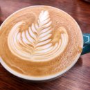 나도 한다 커피바리스타 자격증 이미지