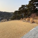 인필드(INFEELD) 이미지