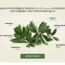 아주약품(주) 이미지