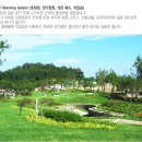 엘도라도 이미지