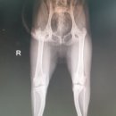 한라동물종합병원 이미지