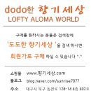 도테라코리아(유) 이미지